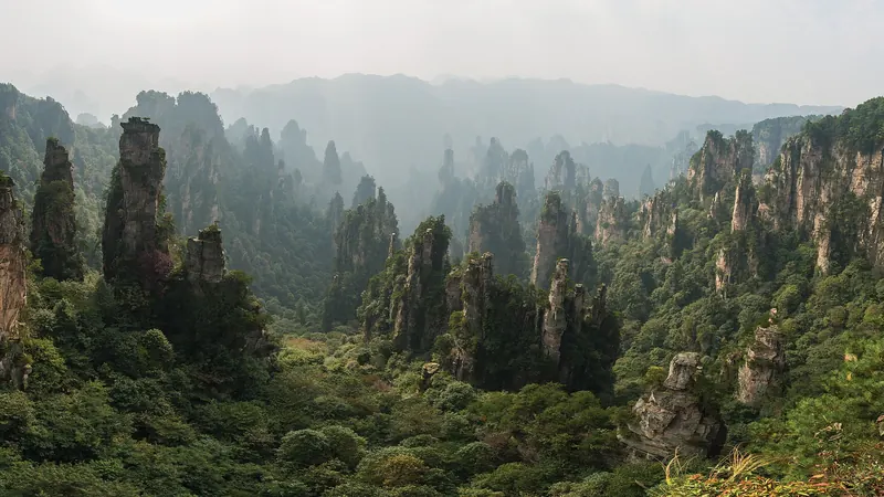 Sandstone pillars covered in trees rising out of mist in Wulingyuan, Zhangjiajie, China