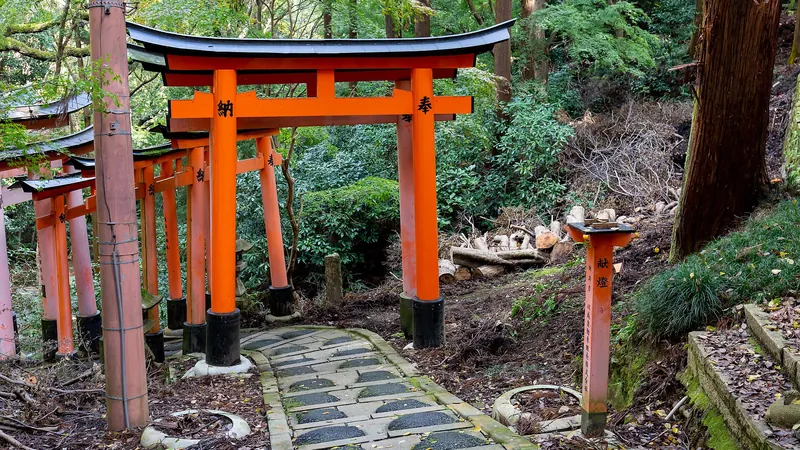 A stone path leading through vermilion torii gates into a green forest at Fushimi Inari Shrine, Kyoto