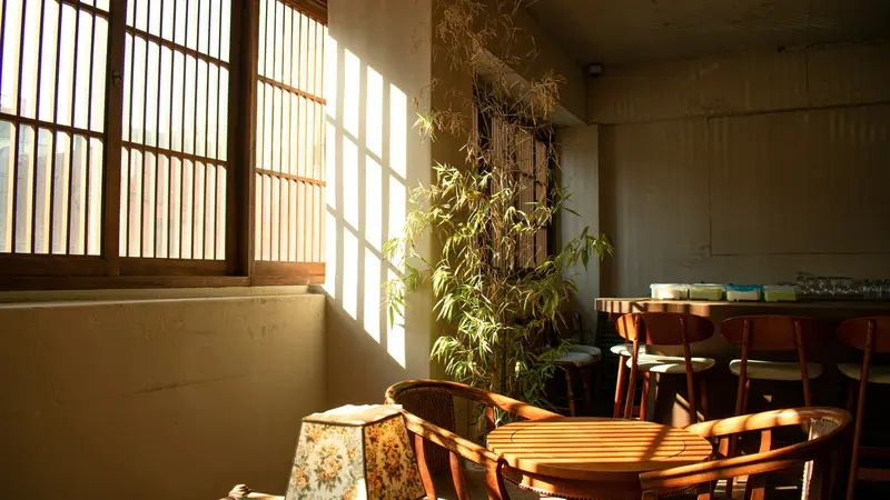 A quiet cafe interior with wooden chairs, a round table and a bamboo plant lit by sunlight through lattice windows