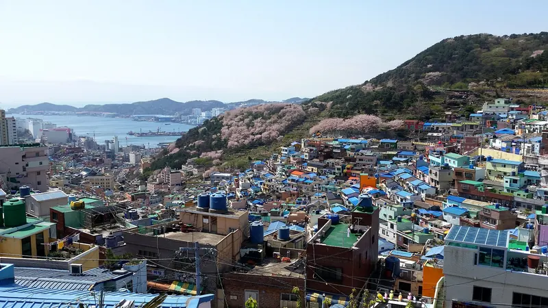 Colorful houses of Gamcheon Culture Village climbing a hillside in Busan, with the harbor and sea beyond