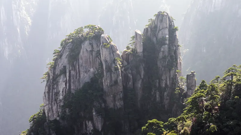 Granite peaks topped with pine trees rising out of bright mist in the Huangshan mountains, China