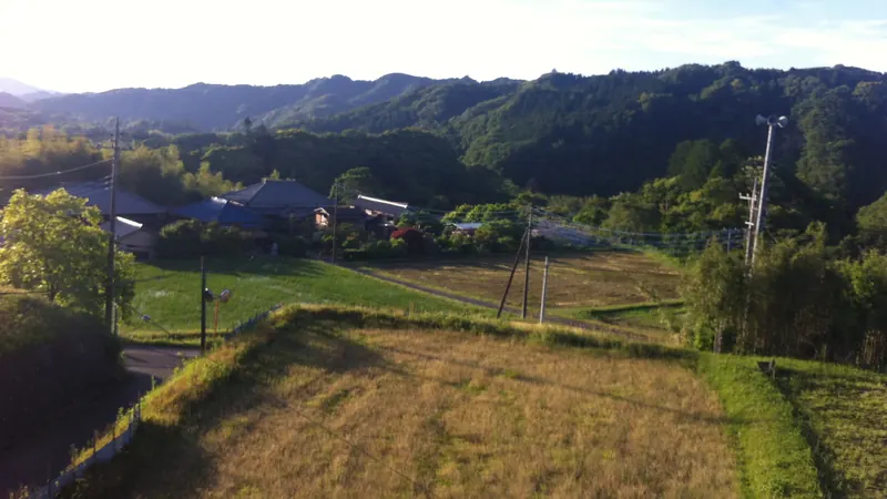 A grassy rice paddy at the edge of a small Japanese town, with tiled houses and forested hills behind